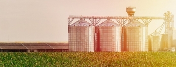 photo of agribusiness farm (1)